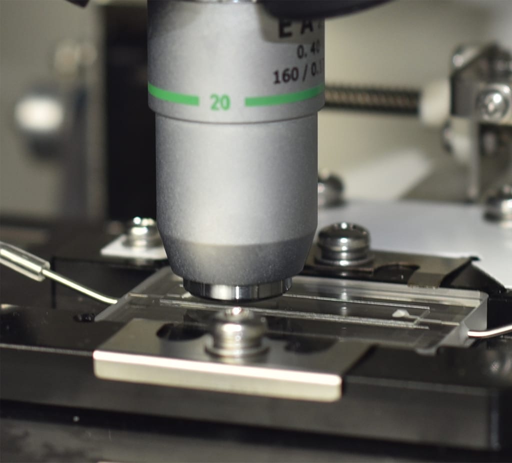 BW-1000 Urine Sediment Analysis System thumb 6